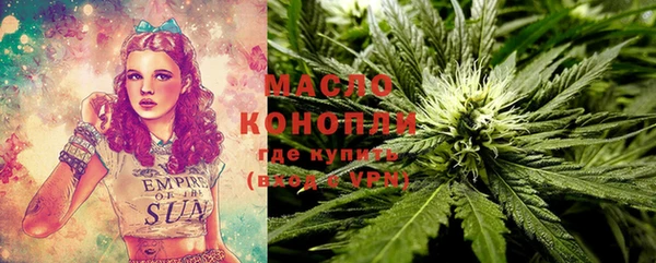дмт Киреевск
