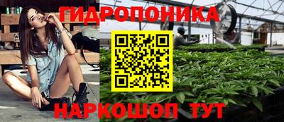 эйфоретик Гатчина