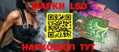 эйфоретик Гатчина