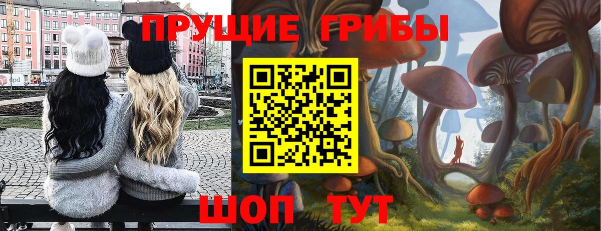Псилоцибиновые грибы Psilocybine cubensis  Вход с VPN  Конаково 