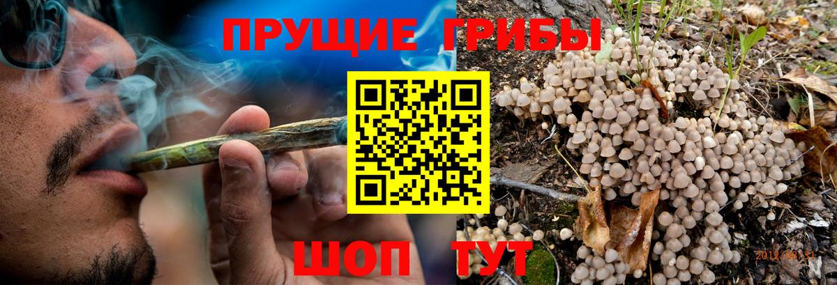 Псилоцибиновые грибы Magic Shrooms Конаково